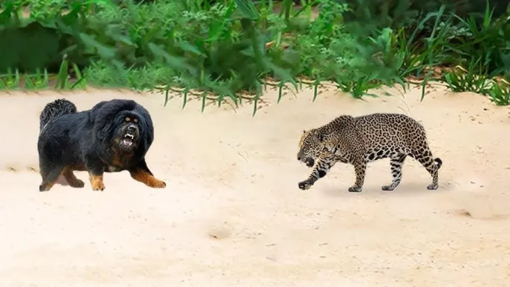 الإنتربول يضبط 30 ألف حيوان حي في حملة ضد تهريب الحيوانات البرية