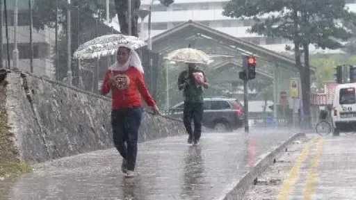 طقس اليوم الثلاثاء: بارد صباحًا وحار على جنوب الصعيد مع فرص شبورة مائية وأمطار خفيفة