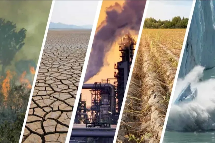 كتلة هوائية باردة تضرب البلاد مع بداية الشتاء.. تحذيرات وتوصيات عاجلة للمزارعين