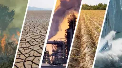 كتلة هوائية باردة تضرب البلاد مع بداية الشتاء.. تحذيرات وتوصيات عاجلة للمزارعين