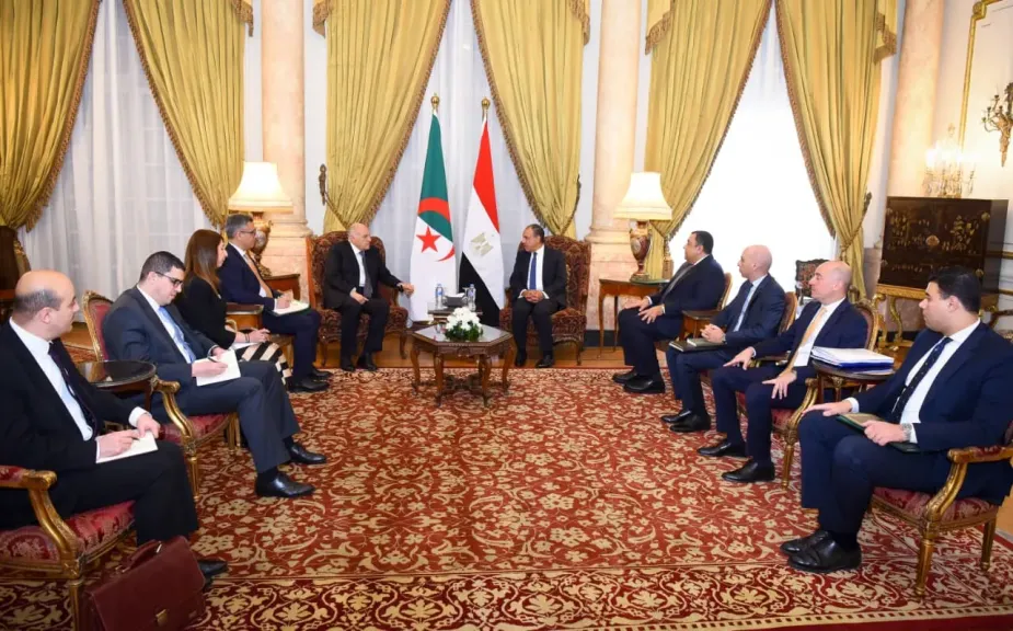 وزير الخارجية يلتقي نظيرة الجزائري