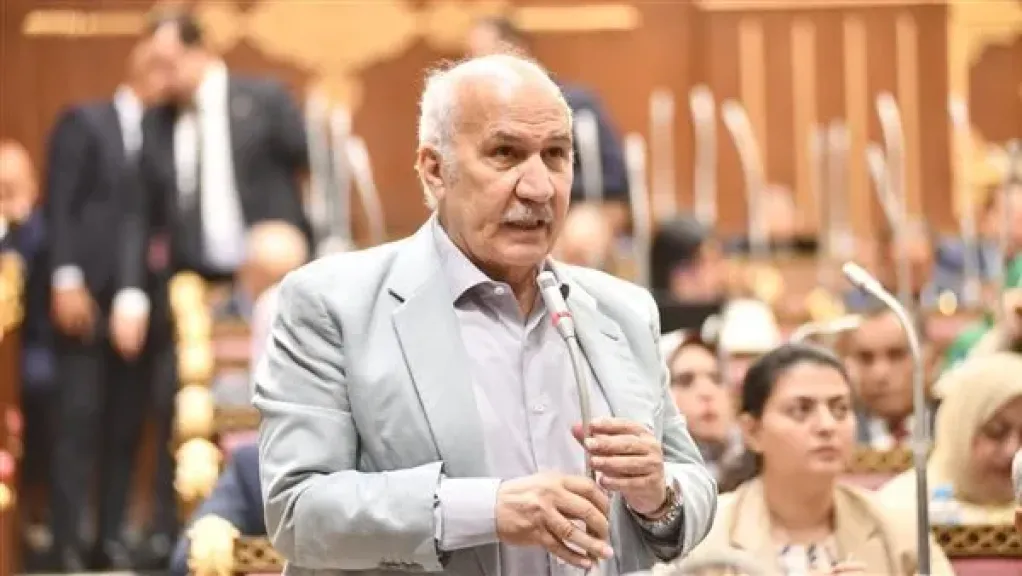 النائب السيد عبدالعال : تعديلات قانون الكهرباء ”ريحته مش حلوة” ويزيد من الاعباء علي المواطنين