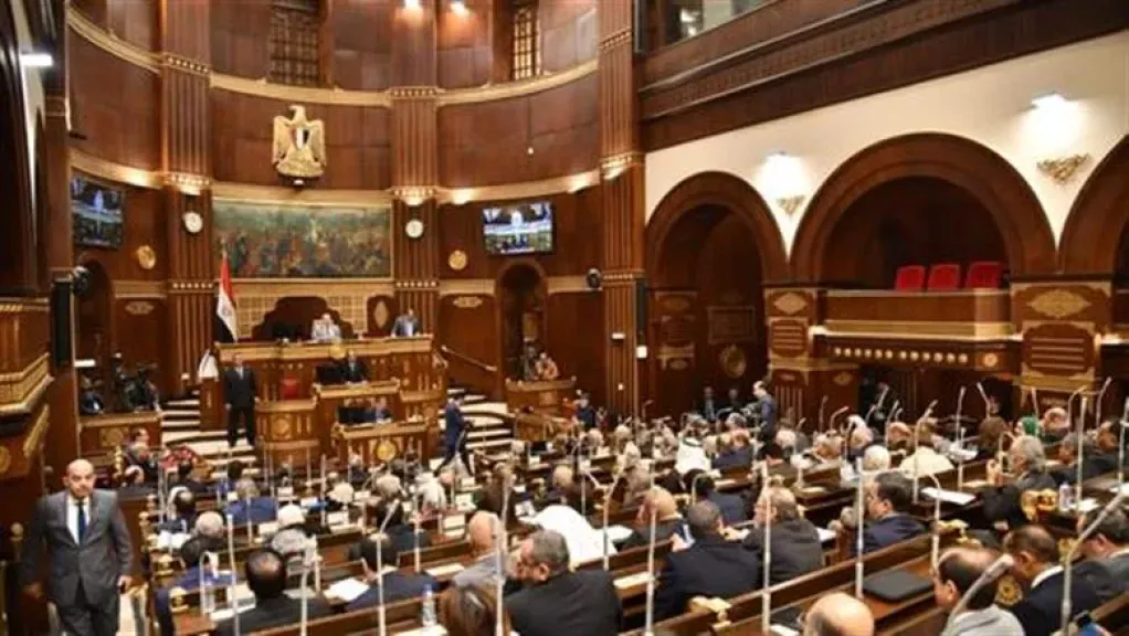 مجلس الشيوخ يوافق على تغليظ عقوبة سرقة الكهرباء