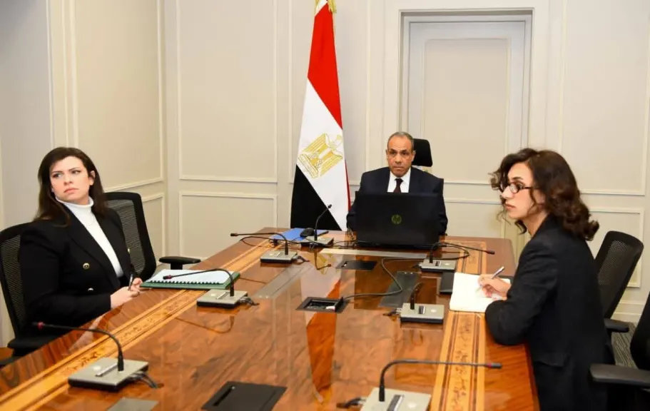 لقاء افتراضي لوزير الخارجية مع الجالية المصرية في كمبوديا وسنغافورا وتايلاند