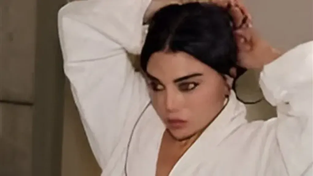 فيديو هيفاء وهبي الجديد مع زوجها يثير الجدل