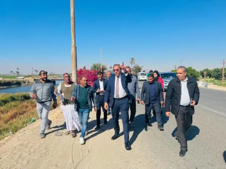 محافظ قنا يتابع أعمال صيانة أعمدة الإنارة وتقليم الأشجار بطريق قنا – الأقصر الزراعي