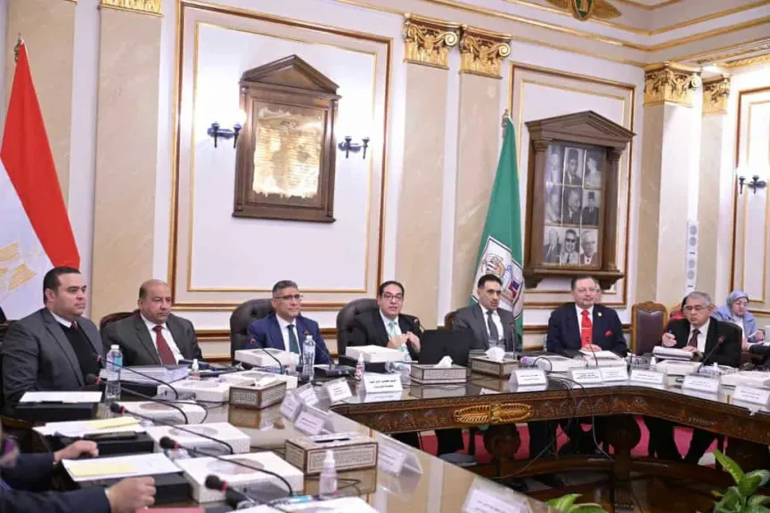 مجلس جامعة القاهرة: إنشاء فرع بإمارة عجمان بدولة الإمارات العربية المتحدة
