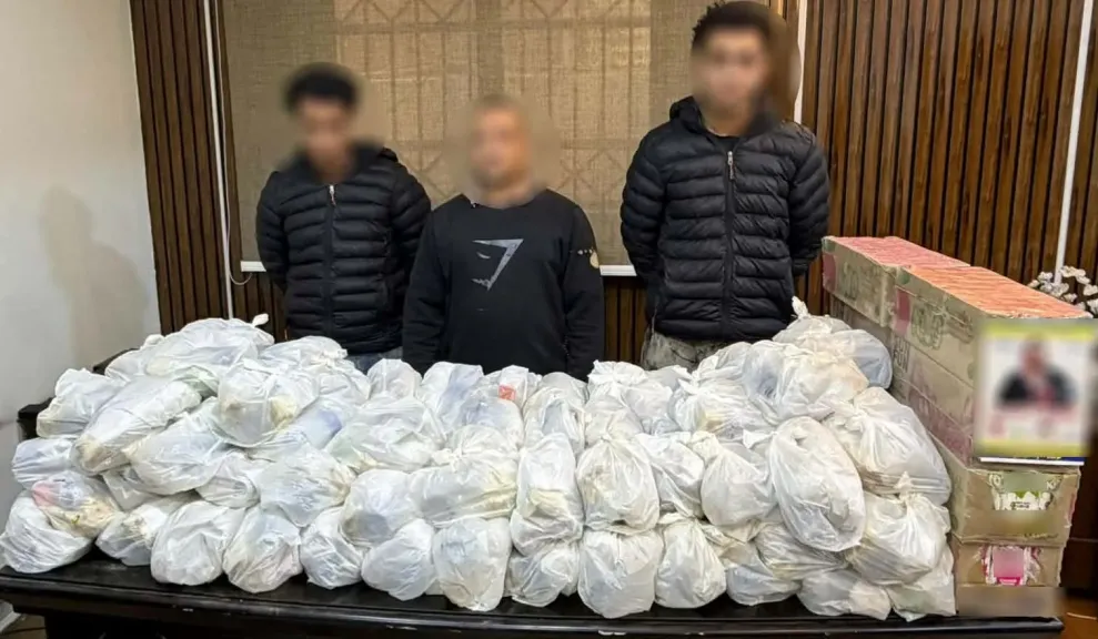 انتخابات مجلس النواب 2025.. ضبط 3 أشخاص بحوزتهم كروت ووجبات غذائية لتوزيعها على الناخبين للتصويت لصالح مرشحة بالجيزة