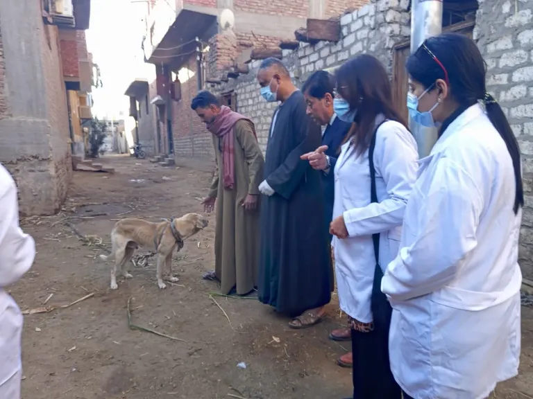 بالصور.. نقابة الفلاحين تكشف تفاصيل القافلة البيطرية لوزارة الزراعة وهيئة الطب البيطري بمحافظة الأقصر