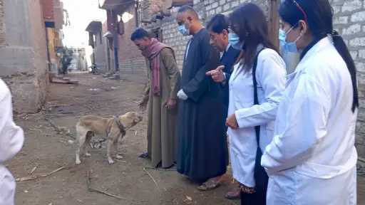بالصور.. نقابة الفلاحين تكشف تفاصيل القافلة البيطرية لوزارة الزراعة وهيئة الطب البيطري بمحافظة الأقصر
