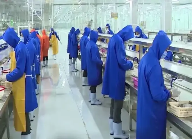 متحدث الوزراء: الدولة تعمل على توفير حوافز عديدة للقطاع الخاص