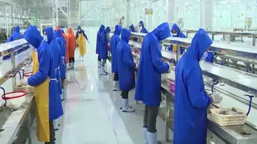 متحدث الوزراء: الدولة تعمل على توفير حوافز عديدة للقطاع الخاص