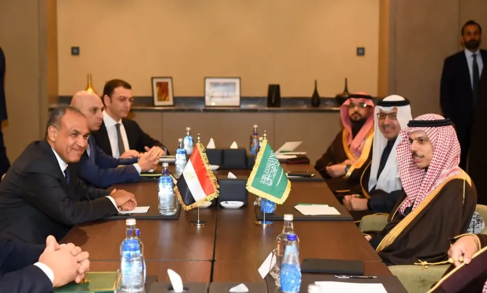 وزير الخارجية يعقد مباحثات ثنائية مع نظيره السعودي