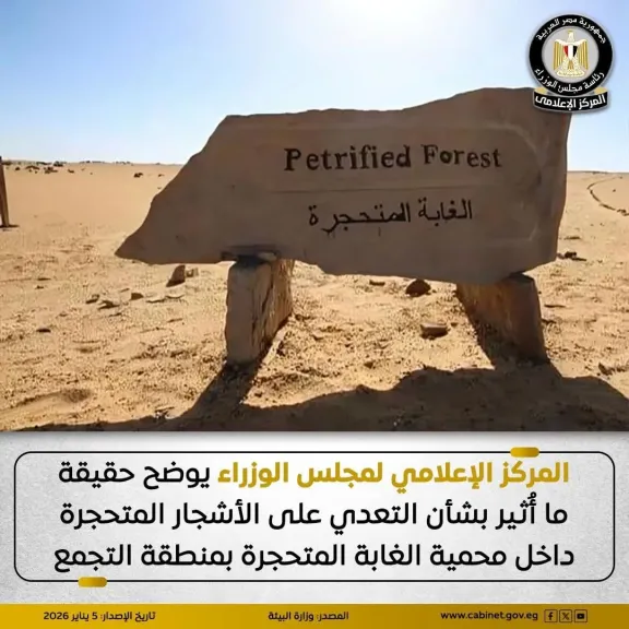 حقيقة التعدي على الأشجار المتحجرة داخل محمية الغابة المتحجرة بمنطقة التجمع