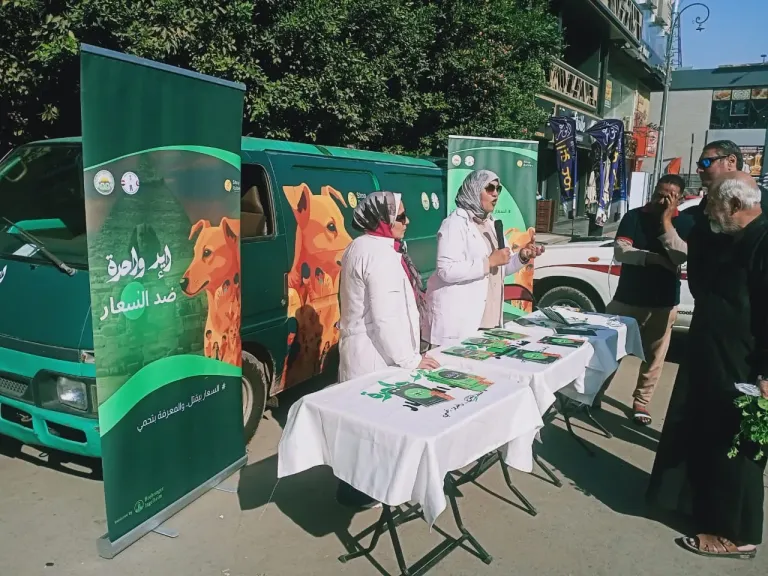 الخدمات البيطرية: تحصين 1135 كلبًا حرًا وتعقيم 133 خلال الأسبوع الأول من يناير