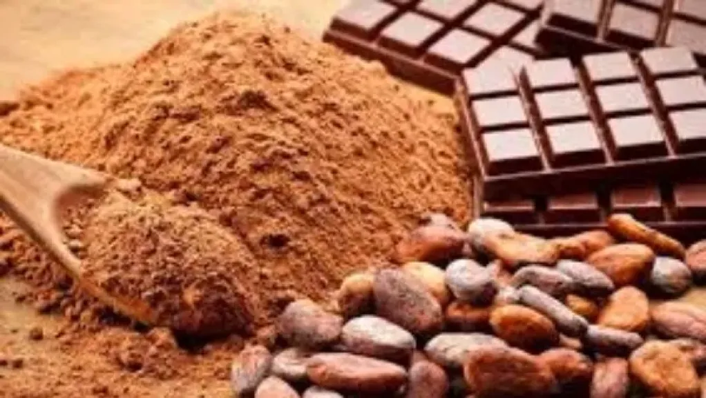 تراجع أسعار الكاكاو يهدد المصدرين