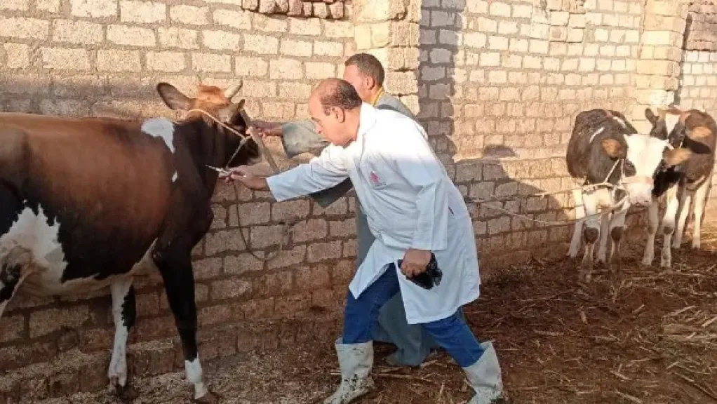 الزراعة تُطلق حملة استثنائية لتحصين الثروة الحيوانية ضد الحمى القلاعية والوادي المتصدع