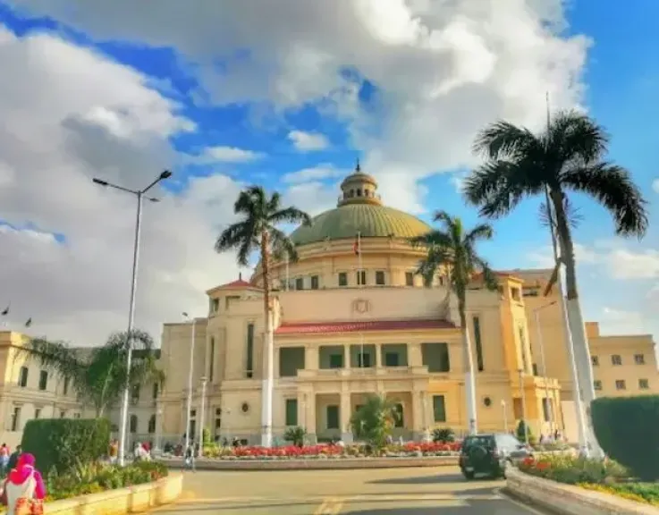 جامعة القاهرة: إنجاز 98.20% من منظومة الشكاوى الإلكترونية لمجلس الوزراء