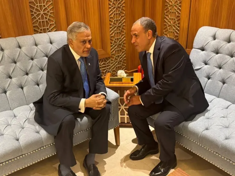 لقاء بين وزير الخارجية المصري ونظيره الباكستاني لمناقشة تطورات الأوضاع الإقليمية