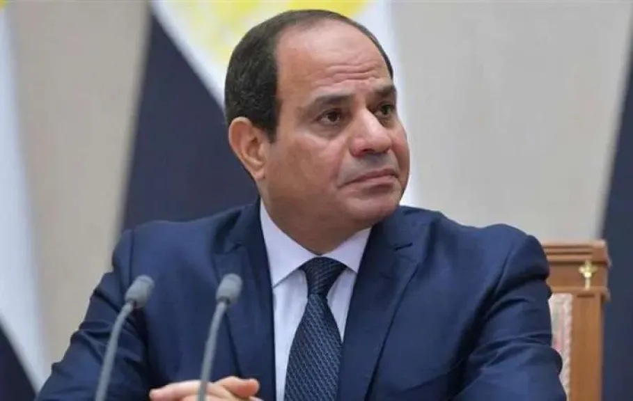 وزراء سابقون وقانونيون.. الرئيس السيسي يصدر قرارا بتعيين 28 عضوا بمجلس النواب