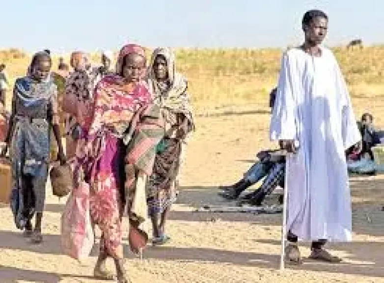 الهجرة الدولية: 570 نازحا من كادوقلي بولاية جنوب كردفان السودانية