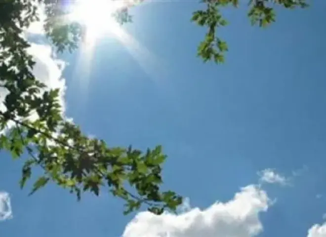 طقس اليوم الاثنين 12 يناير 2025 مائل للدفء نهارا شديد البرودة ليلا