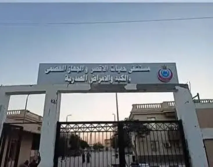 الصحة: تقديم أكثر من 530 ألف خدمة طبية بمحافظة الأقصر خلال عام 2025