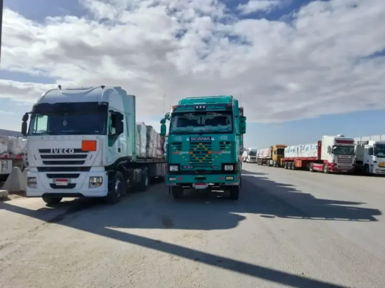 147 شاحنة مساعدات تغادر معبر رفح إلى كرم أبو سالم لدعم الجهات الفلسطينية الإغاثية