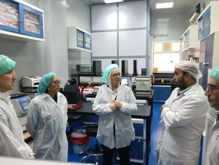 بشهادات عالمية.. منظومة الدواجن المصرية تحقق الريادة في الأمان الحيوي ودقة التشخيص