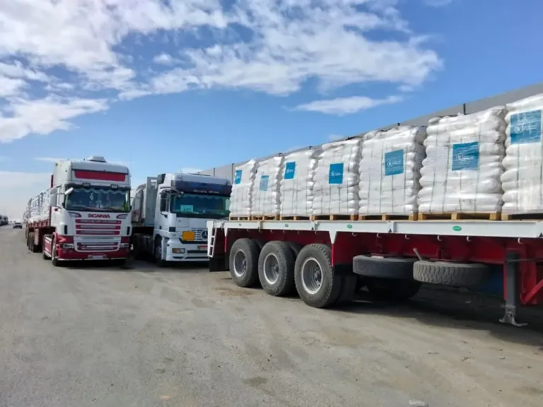 174 شاحنة مساعدات متنوعة تغادر من معبر رفح البري لدعم جهود إغاثة غزة