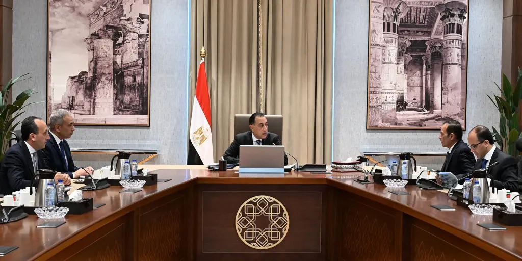 رئيس الوزراء يستعرض الموقف التنفيذي لمشروعات شركة ”تنمية الريف المصري الجديد”