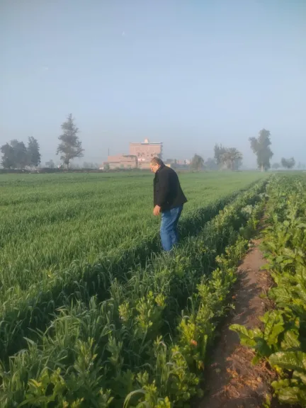 وزير الزراعة يتلقى تقريراً حول جهود ”الإصلاح الزراعي” خلال ديسمبر