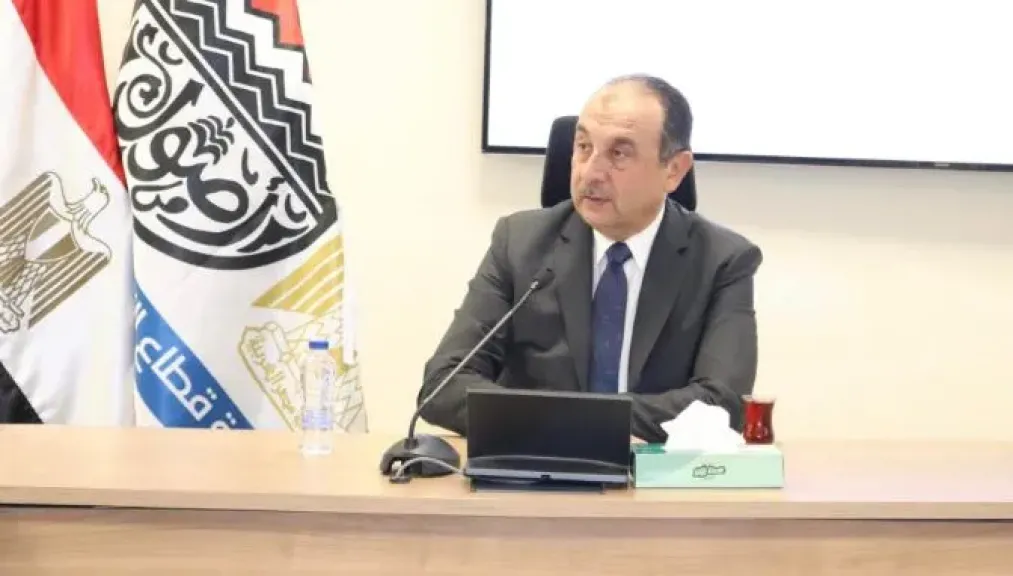 وزير قطاع الأعمال العام: تنفيذ 737 مشروعا ضمن المرحلة الأولى من حياة كريمة