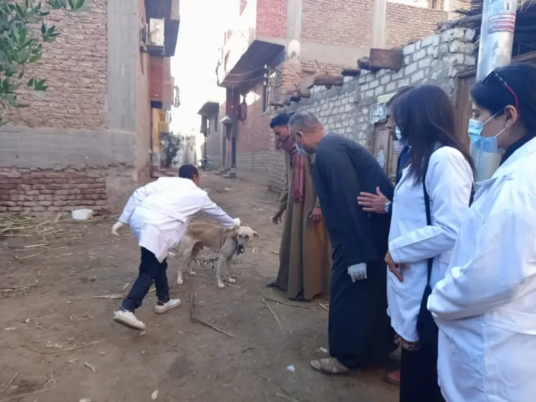 أمين عام نقابة الفلاحين: الكلب المصرى طيب وأليف بخلاف الكلب الأجنبى شرس ومؤذى