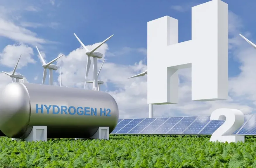 وزير البيئة الألماني يأمل في استيراد الهيدروجين الأخضر من السعودية