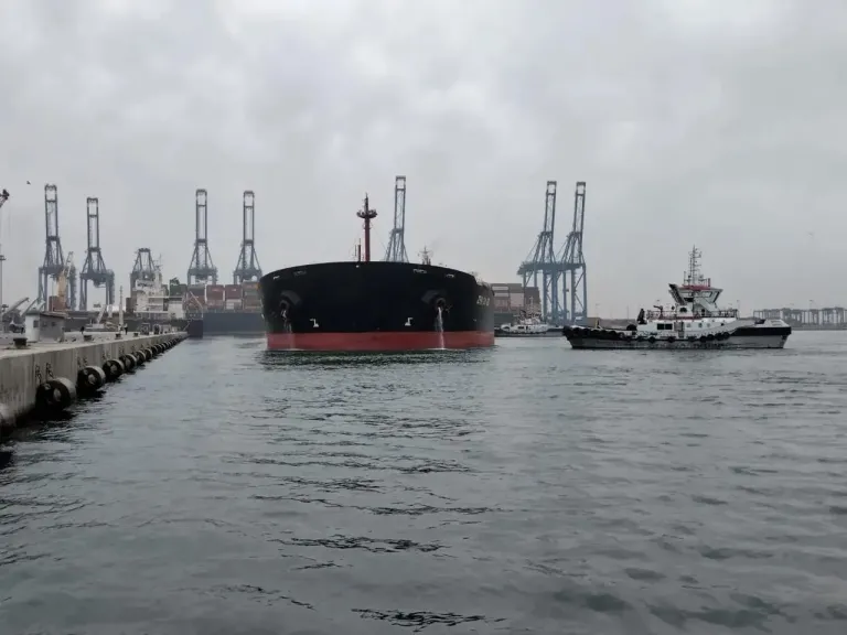 تفريغ 138 ألف طن في 77 ساعة.. سيسكو ترانس تعيد صياغة صناعة اللوجستيات عالميًا