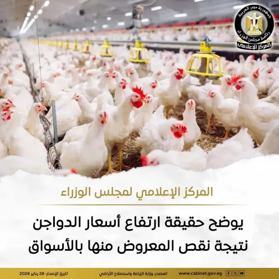 حقيقة ارتفاع أسعار الدواجن نتيجة نقص المعروض منها بالأسواق