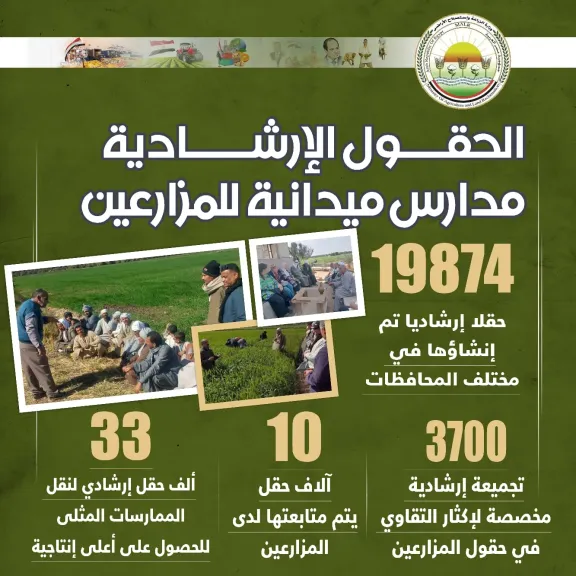 فاروق: يعلن تجاوز مساحة  زراعة القمح 3.76 مليون فدان بالمحصول