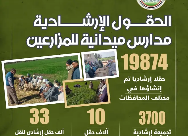 فاروق: يعلن تجاوز مساحة  زراعة القمح 3.76 مليون فدان بالمحصول