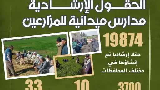 فاروق: يعلن تجاوز مساحة  زراعة القمح 3.76 مليون فدان بالمحصول