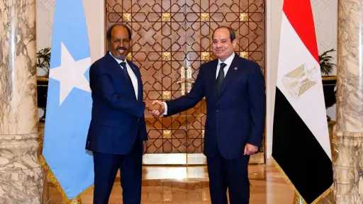 الرئيس السيسي: نرفض أي إجراءات تمس باستقرار وسيادة الصومال