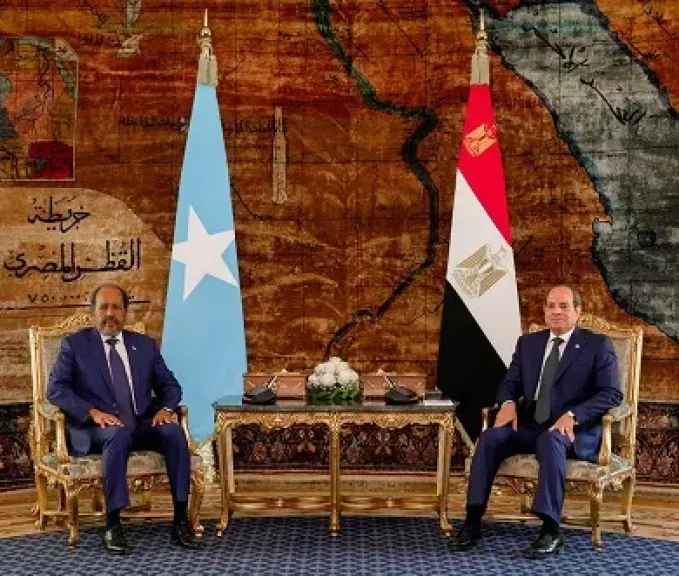 الرئيس الصومالي يحذر من تدهور الأوضاع الأمنية بالقرن الإفريقي