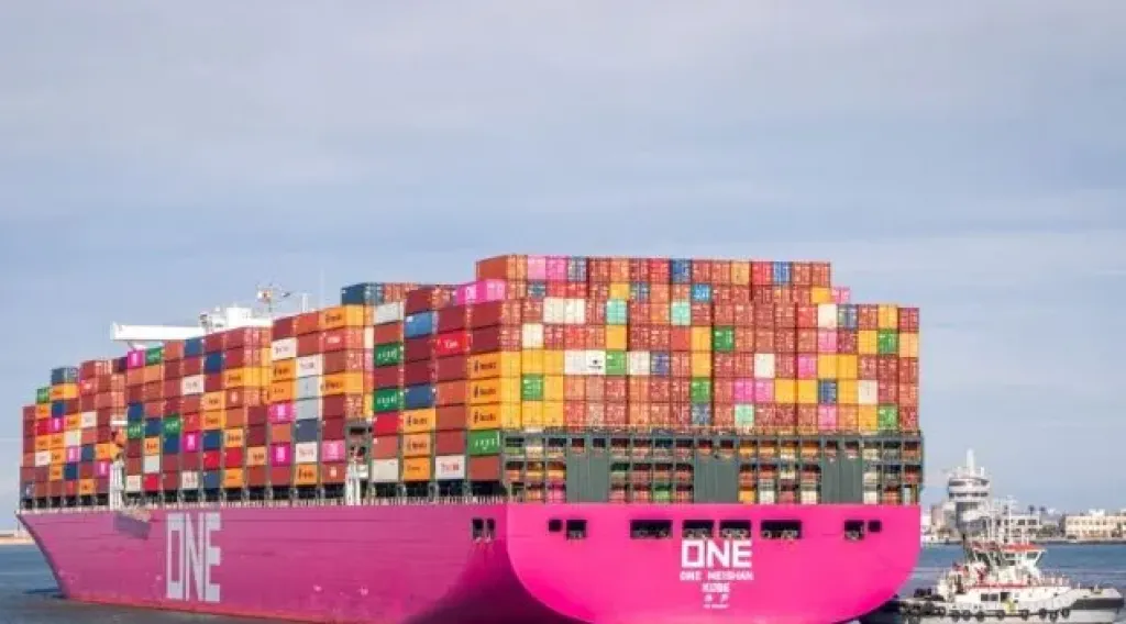 تداول بضائع وحاويات 25 سفينة بميناء دمياط