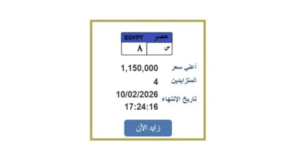 سعرها تخطى مليون جنيه.. مزايدة نارية على لوحة سيارة مميزة