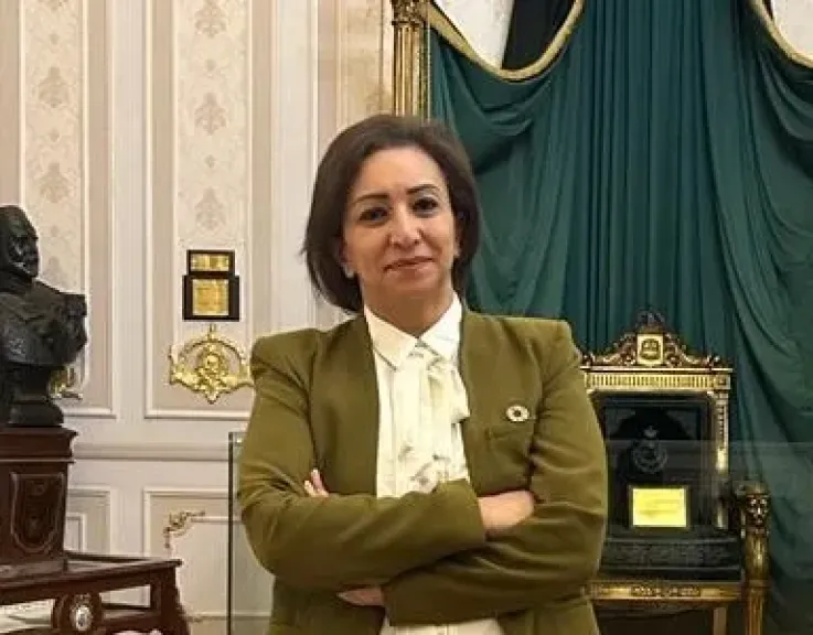 النائبة مها عبدالناصر: قانون حرية تداول المعلومات يمس حياة المواطنين ولا يقتصر على الصحافة