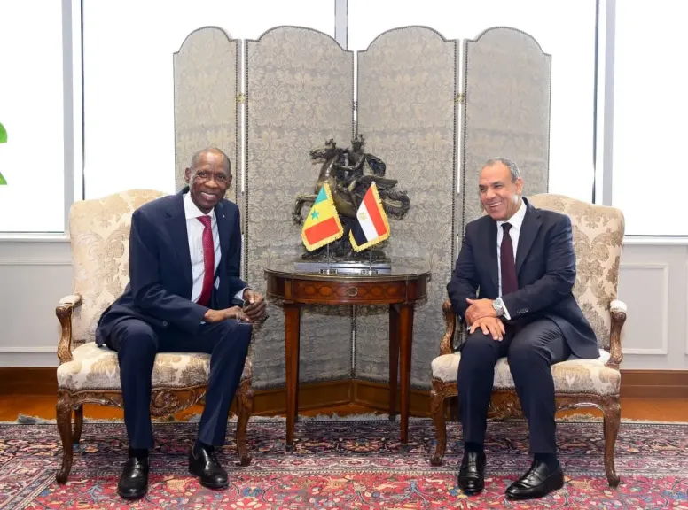 مباحثات مصرية سنغالية لدعم جهود التنمية والاستقرار في القارة الأفريقية