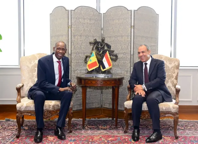 مباحثات مصرية سنغالية لدعم جهود التنمية والاستقرار في القارة الأفريقية