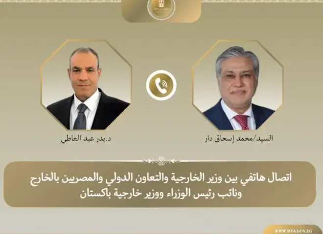 وزيرا الخارجية المصري والباكستاني يبحثان المستجدات في غزة والتطورات الإقليمية