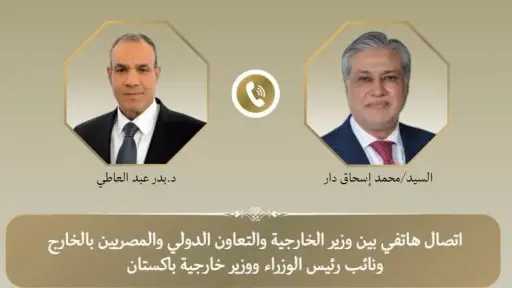 وزيرا الخارجية المصري والباكستاني يبحثان المستجدات في غزة والتطورات الإقليمية