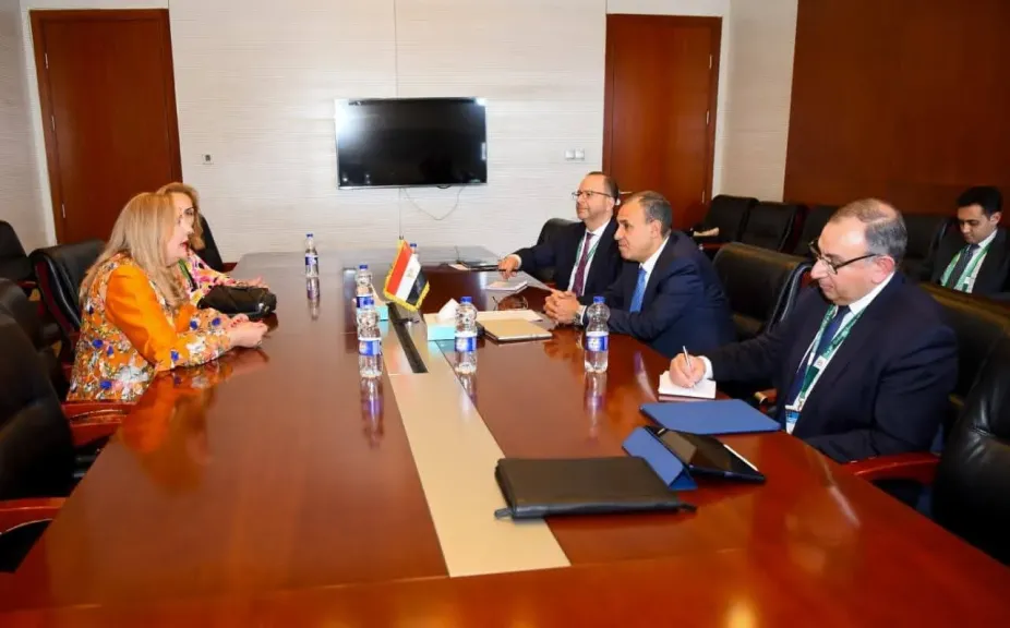 وزير الخارجية يؤكد أهمية القطاع الخاص في تحقيق التنمية المستدامة في أفريقيا